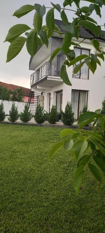 דירות דבה Accent Garden מראה חיצוני תמונה